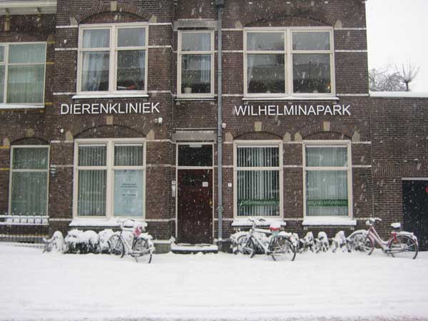 Winter bij het Wilhelminapark in Utrecht